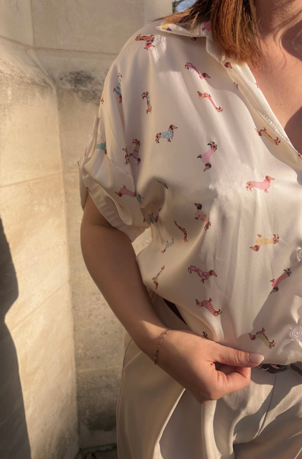 Teckel Chic Blouse