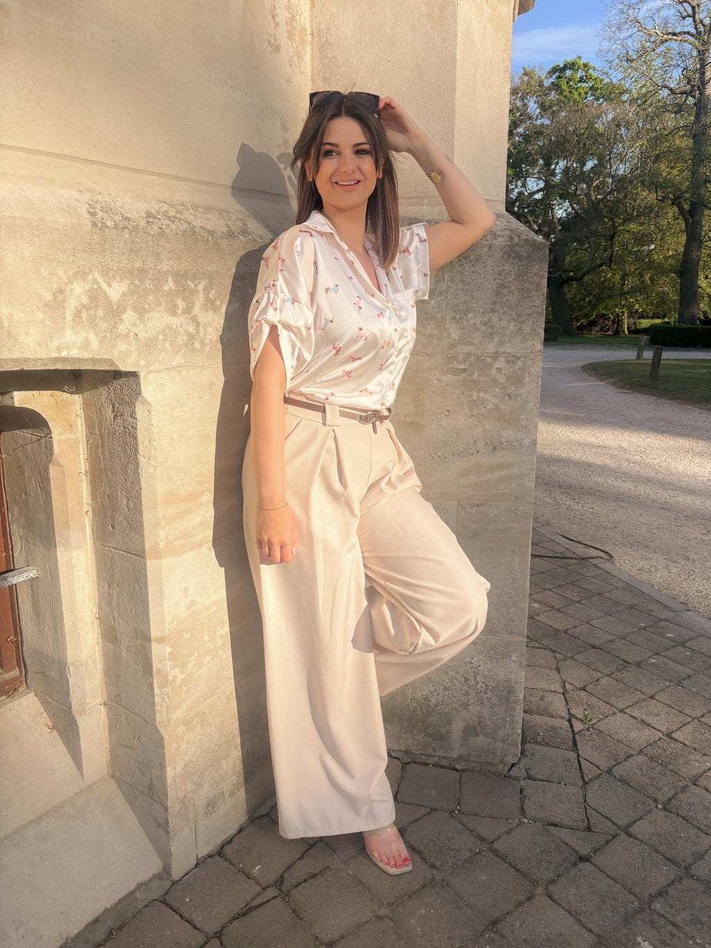 Klassieke Shimmer Broek - Beige