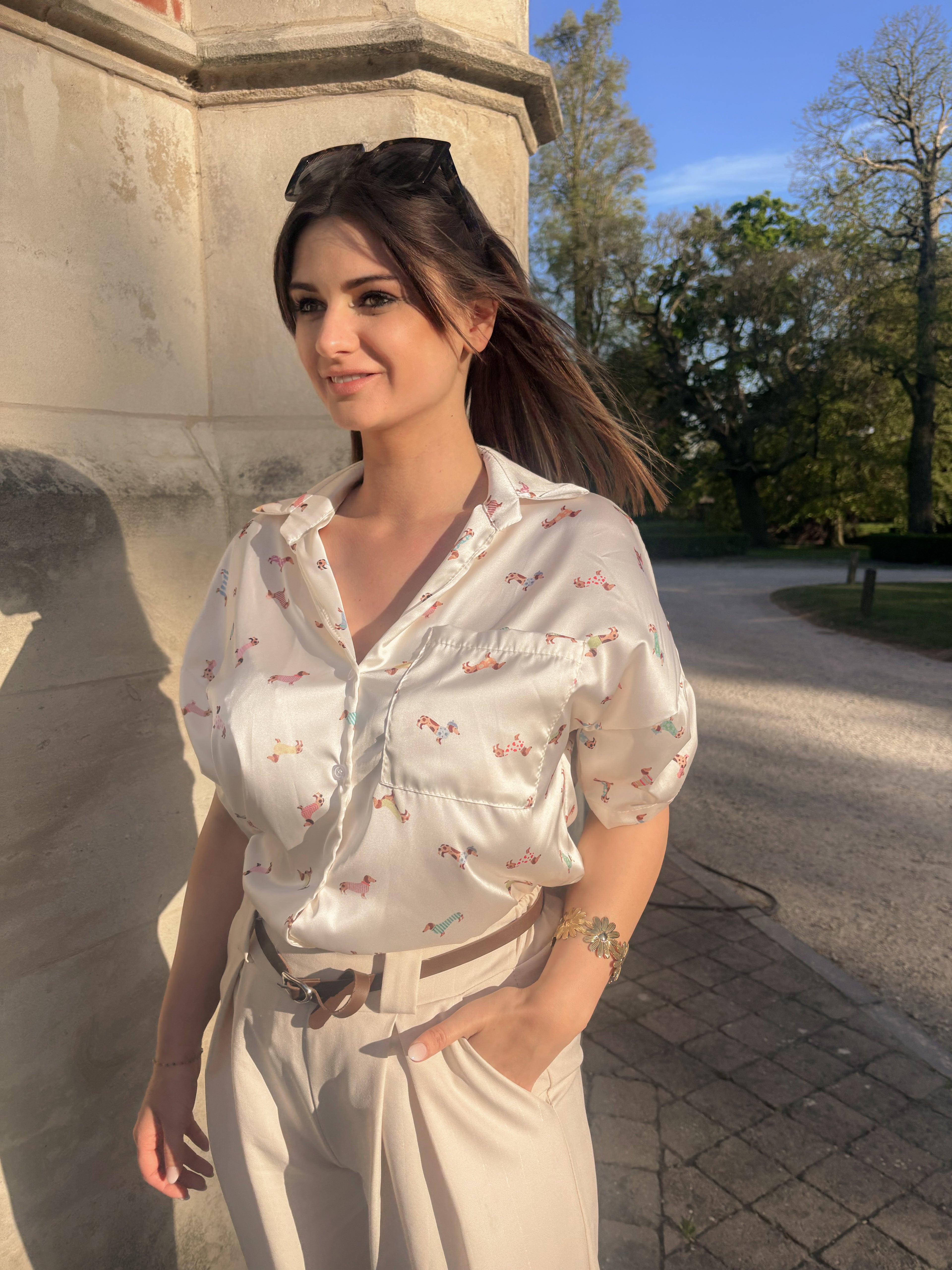 Teckel Chic Blouse